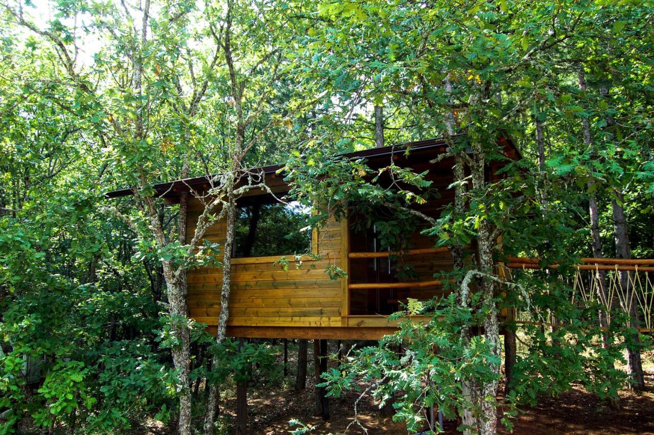 Agramada Bed & Breakfast Arnaia Luaran gambar